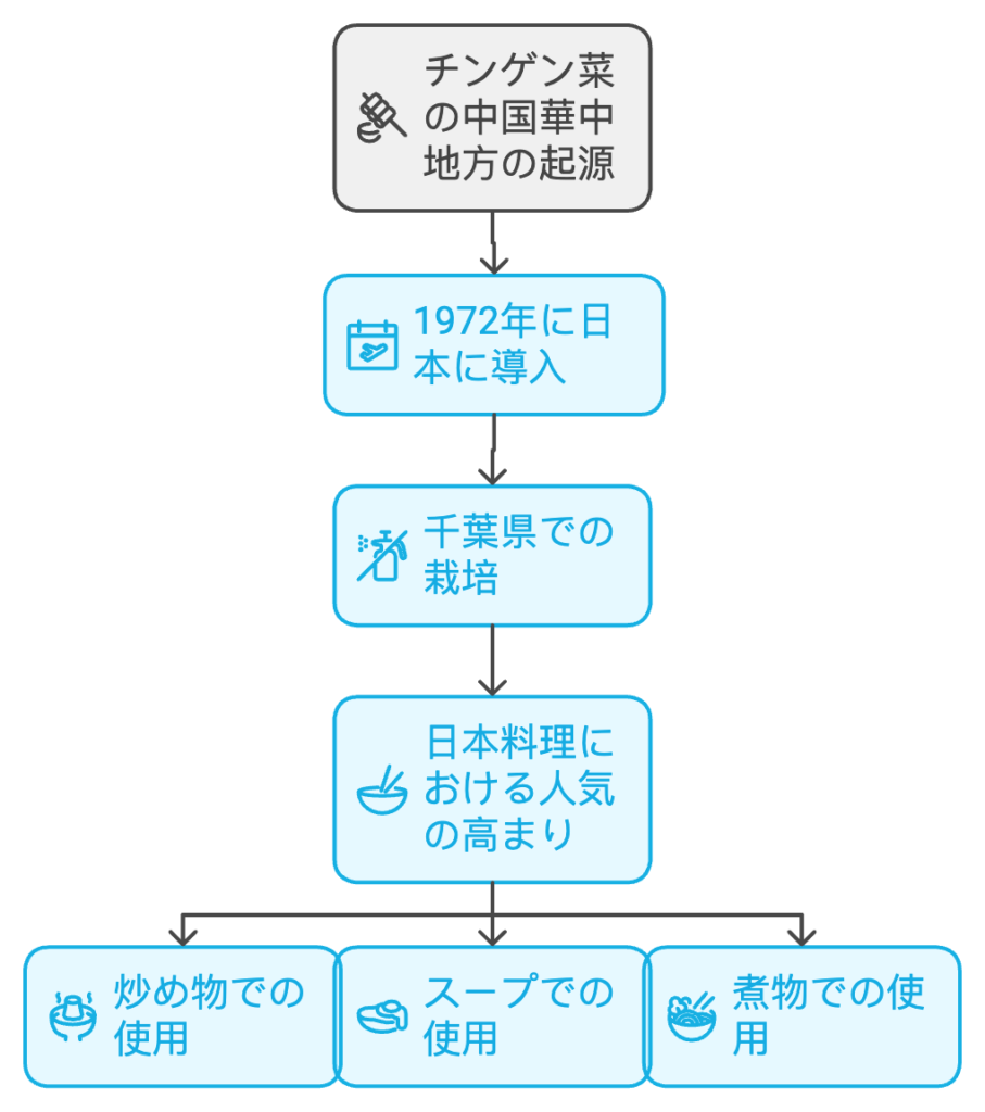  チンゲン菜レシピ: チンゲン菜の歴史
